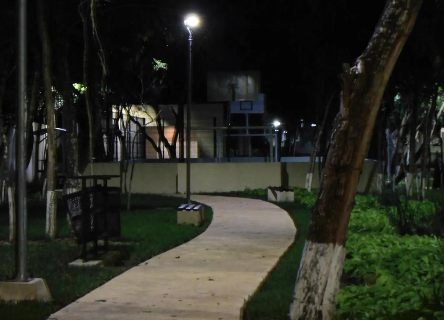 Gigi'S Caribbean Paradise Aparment Πλάγια Ντελ Κάρμεν Διαμέρισμα