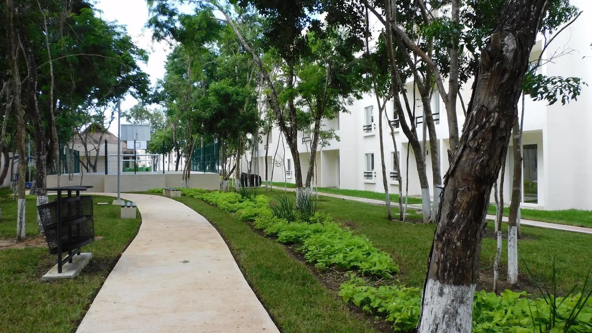 Διαμέρισμα Gigi'S Caribbean Paradise Aparment Πλάγια Ντελ Κάρμεν Μεξικό